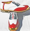 Bari BWN Gold toe golf shoes